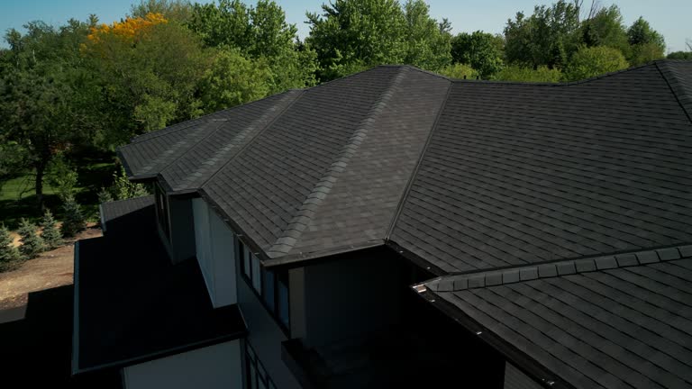 Best Skylight Installation and Repair  in Tornillo, TX